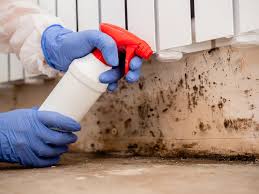 Trusted Whitney Point, NY Mold Inspection Experts